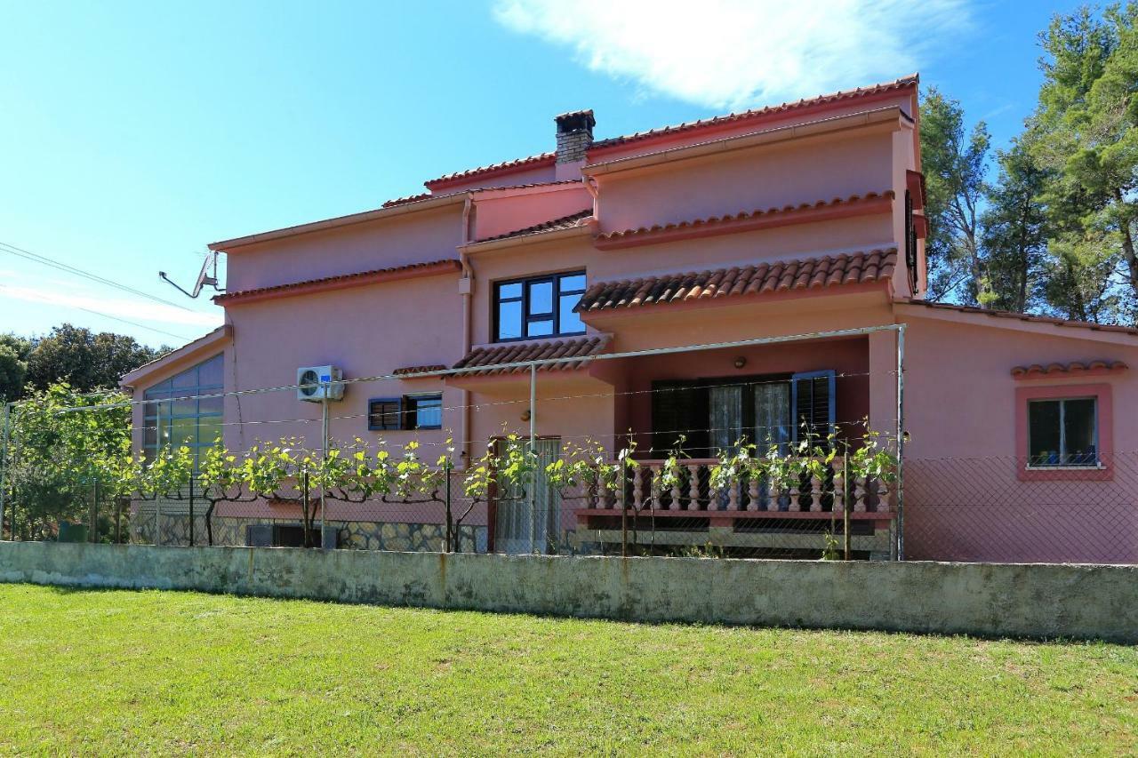 Apartmani Jagoda Bibinje Bagian luar foto